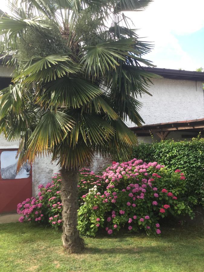 Notti Al Torre - Colazione In Camera San Vito al Torre ภายนอก รูปภาพ